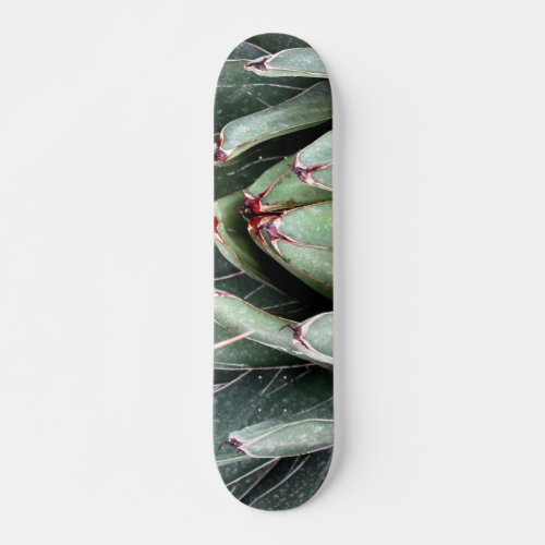 Agave Aloe Vera Plant Photo Skate Skateboard