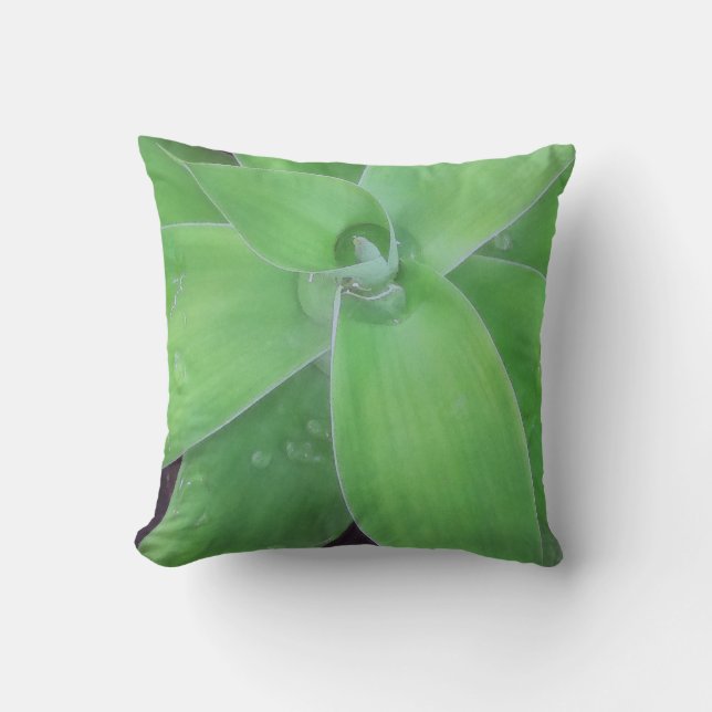 Agave and Raindrops Outdoor Pillow (Front)