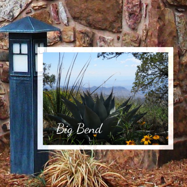 Agave and Wildflowers, Big Bend National Park Postcard (Creator Uploaded)