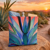 Agave at Sunset