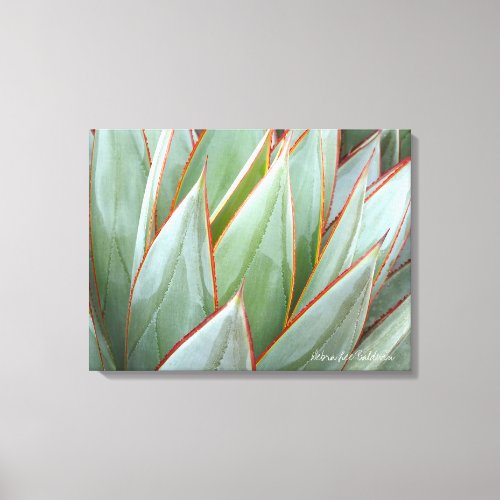 Agave Blue Glow canvas by Debra Lee Baldwin