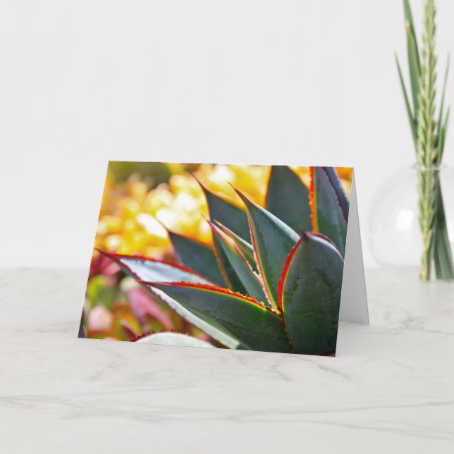 Agave 'Blue Glow' note card by Debra Lee Baldwin (Front)