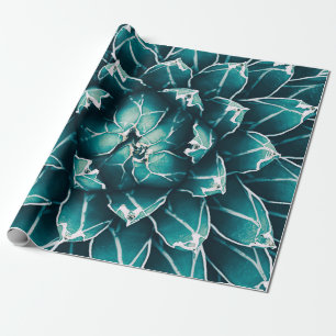 agave cactus, abstract nature background, top view wrapping paper