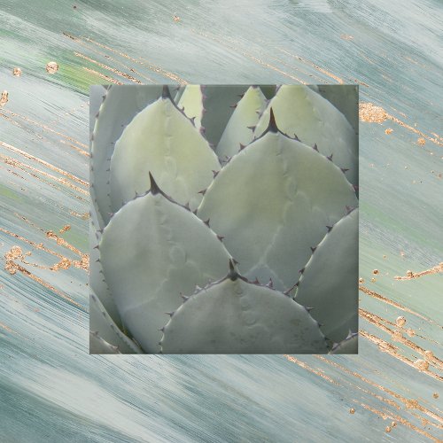 Agave Cactus Plant Southwestern Style Tile