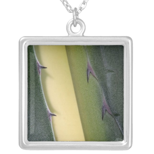 Agave Detail Silver Plated Necklace (Front)
