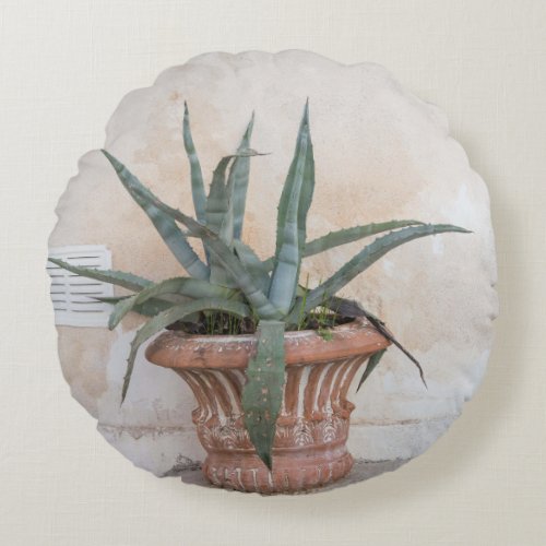 Agave Dream in Athens 1 minimal wall art  Round Pillow