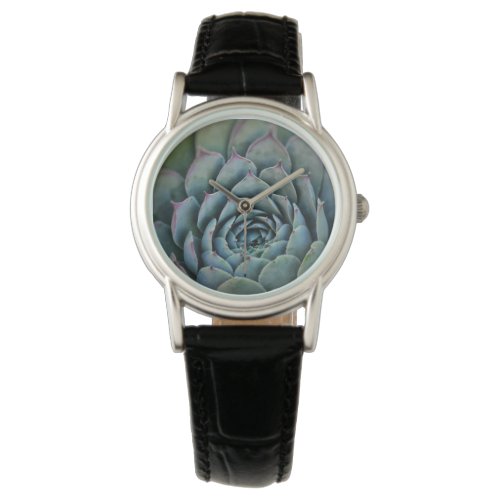 Agave Flower  Watch