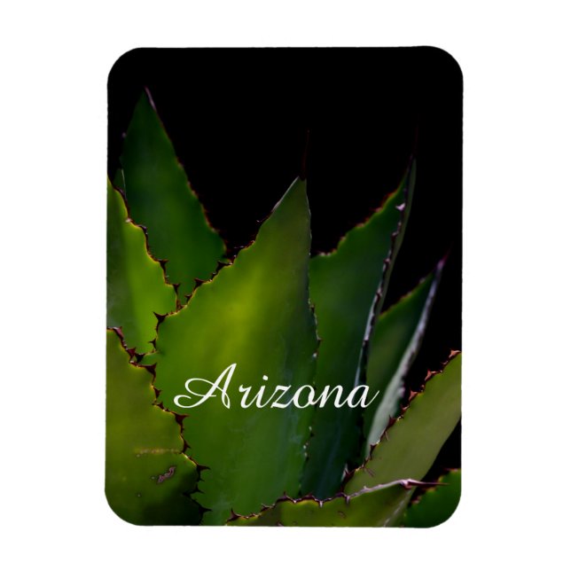 Agave glow Arizona Magnet (Vertical)