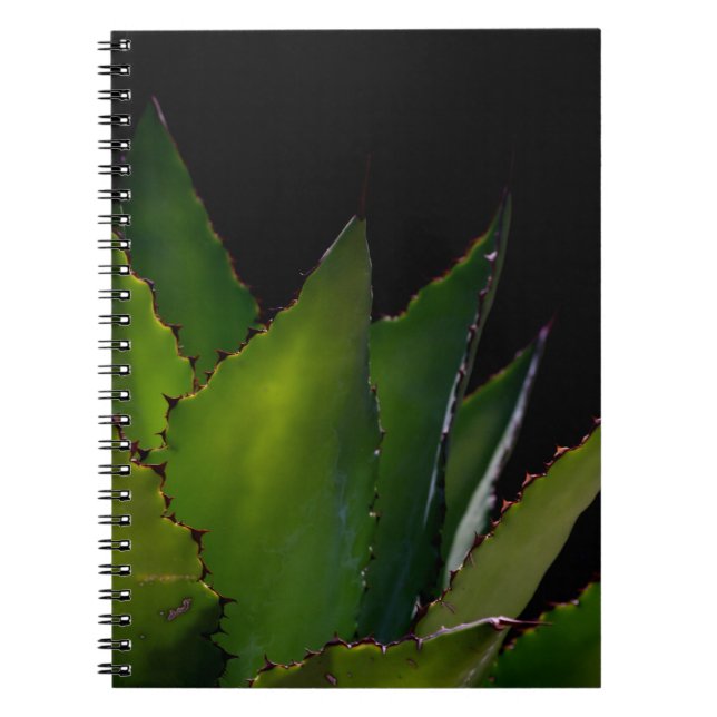 Agave glow notebook (Front)