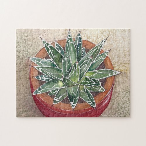 Agave in pot jigsaw puzzle