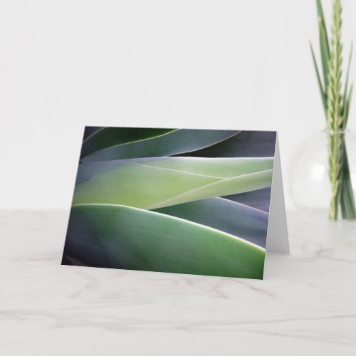 Agave Leaves Card