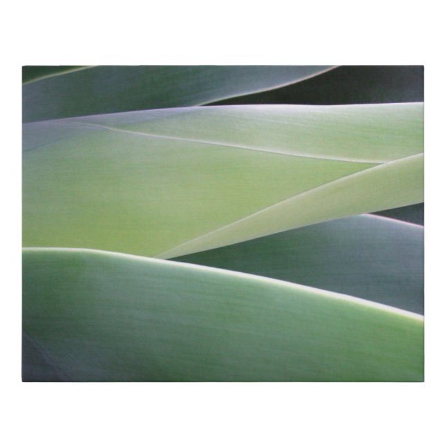 Agave Leaves Faux Canvas Print (Front)