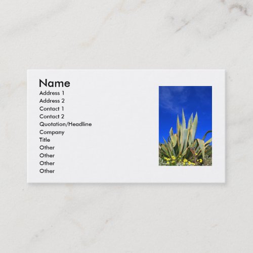 Agave Plant Business Card