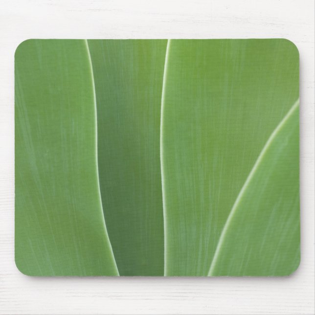 Agave Plant Close Up Mouse Pad (Front)