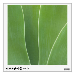 Agave Plant Close Up Wall Decal
