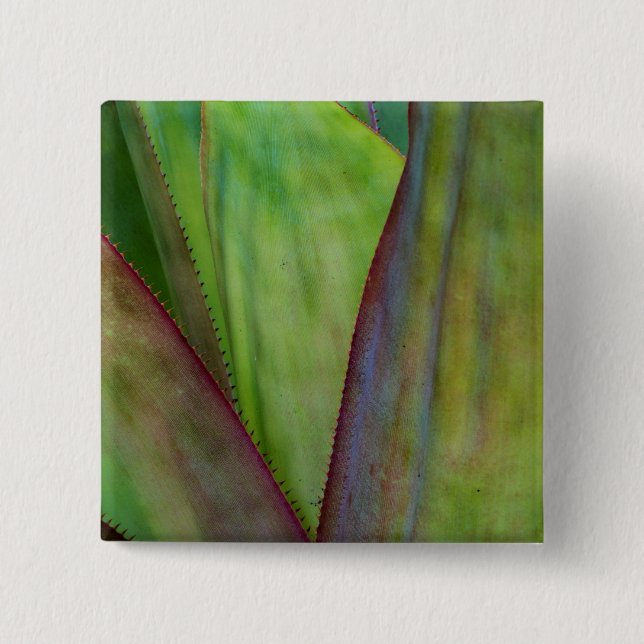 Agave Plant Detail Button (Front)