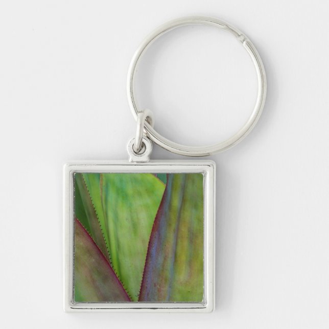 Agave Plant Detail Keychain (Front)