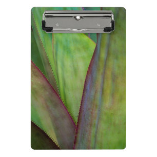 Agave Plant Detail Mini Clipboard