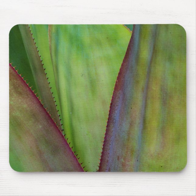 Agave Plant Detail Mouse Pad (Front)