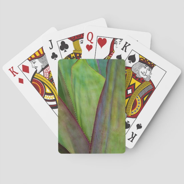 Agave Plant Detail Poker Cards (Back)