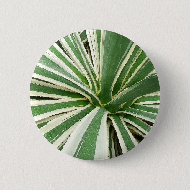 Agave Plant Green and White Striped Button (Front)