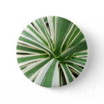 Agave Plant Green and White Striped Button