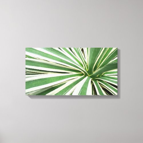 Agave Plant Green and White Striped Canvas Print