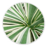 Agave Plant Green and White Striped Ceramic Knob