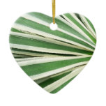 Agave Plant Green and White Striped Ceramic Ornament