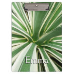 Agave Plant Green and White Striped Clipboard