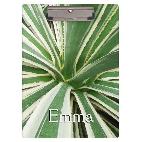 Agave Plant Green and White Striped Clipboard