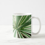 Agave Plant Green and White Striped Coffee Mug