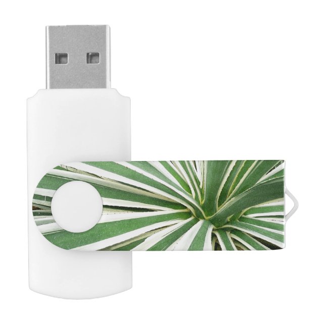 Agave Plant Green and White Striped Flash Drive (Opened)