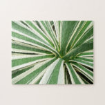 Agave Plant Green and White Striped Jigsaw Puzzle