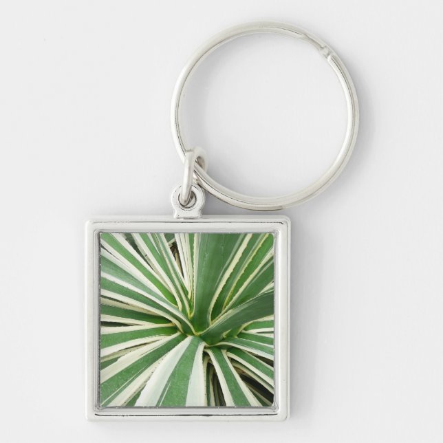 Agave Plant Green and White Striped Keychain (Front)