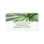 Agave Plant Green and White Striped Label