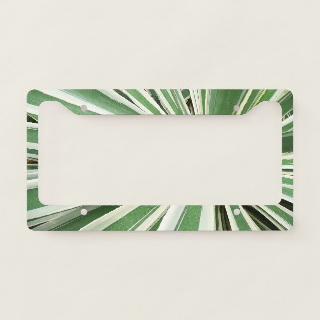 Agave Plant Green and White Striped License Plate Frame (Front)