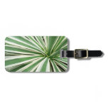 Agave Plant Green and White Striped Luggage Tag