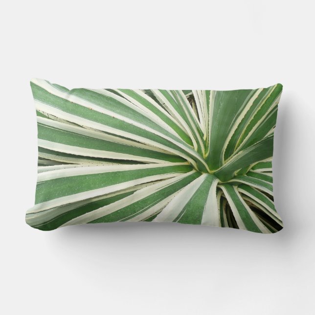 Agave Plant Green and White Striped Lumbar Pillow (Front)