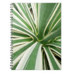 Agave Plant Green and White Striped Notebook