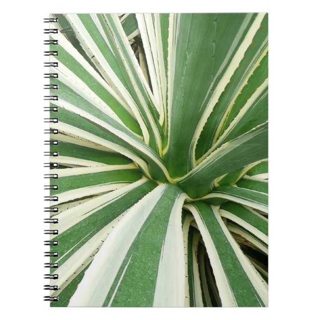 Agave Plant Green and White Striped Notebook (Front)