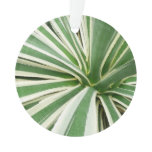 Agave Plant Green and White Striped Ornament