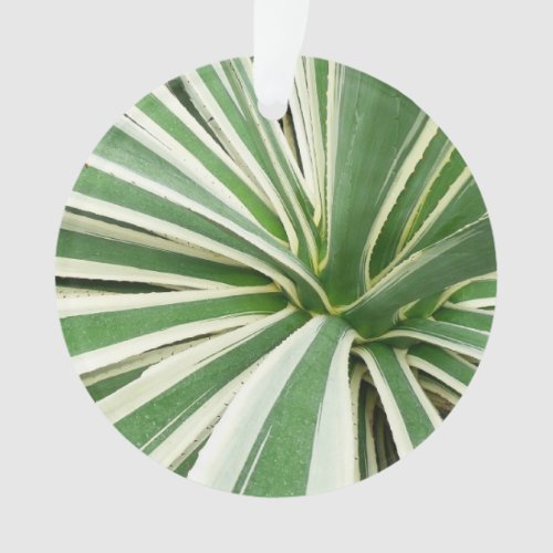 Agave Plant Green and White Striped Ornament