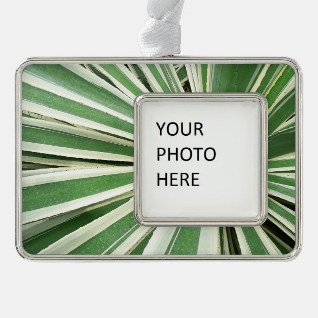 Agave Plant Green and White Striped Ornament (Front)