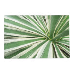Agave Plant Green and White Striped Placemat