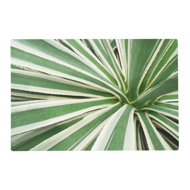 Agave Plant Green and White Striped Placemat (Front)