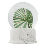 Agave Plant Green and White Striped Snow Globe