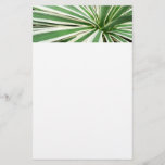 Agave Plant Green and White Striped Stationery