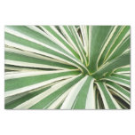 Agave Plant Green and White Striped Tissue Paper