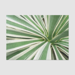 Agave Plant Green and White Striped Tissue Paper